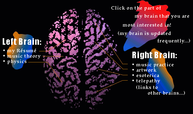 Brain Map